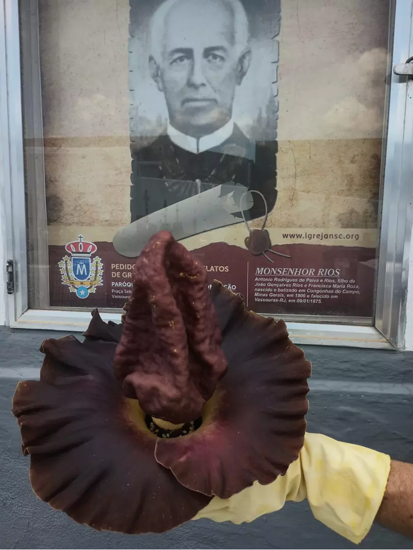 CIÊNCIA SIM, MAS FÉ E RELIGIOSIDADE TAMBÉM